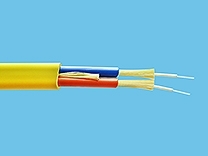 Flat Twin Cable